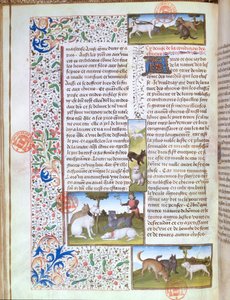 Chiens de chasse, du Livre de la Chasse par Gaston Phébus de Foix (1331-91) - French School