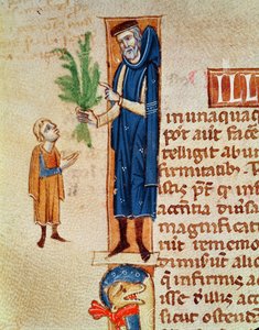 Plantes médicinales, illustration du Traité de Médecine de Claudius Galenus (c.130-c.201) traduit par Gérard de Crémone (1114-87) - French School