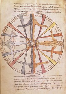 Ms 422 fol.6v Roue des saisons et des mois, de De Natura Rerum par St. Isidore de Séville - French School