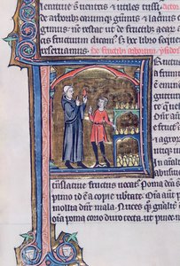 Ms 426 fol.135 Enseignant la meilleure façon de conserver les poires, du Miroir de la Nature par Vincent de Beauvais - French School