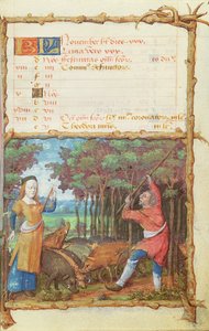 Ms 438 Le mois de novembre : Récolte des glands, d