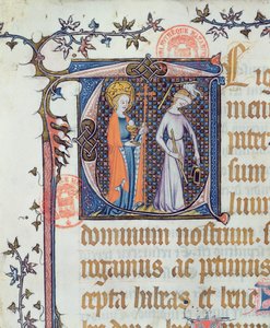 Ms 527 L