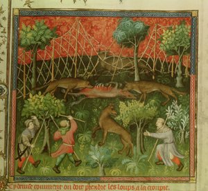 Chasse au loup avec l