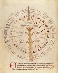 Ms Lat 11229 fol.19r Tableau pour l