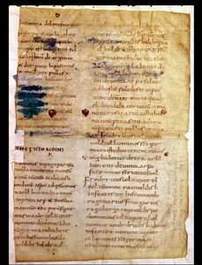 Inventaire de la propriété carolingienne, du Polyptyque de l