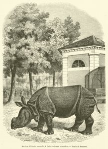 Muséum d