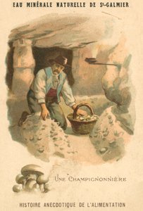 Cultivateur de champignons (chromolithographie)