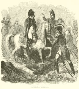 Napoléon à Waterloo - French School