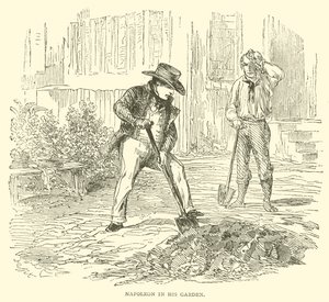 Napoléon dans son jardin - French School