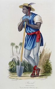 Nègre planteur du Brésil - dans « Bibliothèque Universelle des Voyages » par Albert-Montémont, éd. Armand-Aubrée, Paris - French School