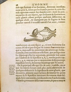 Diagramme optique, de De Homine Figuris par René Descartes (1596-1650) publié à La Haye, 1662 - French School
