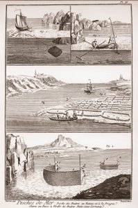 Pêche aux huîtres - « L