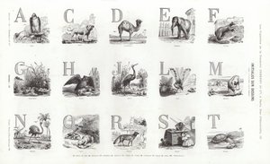 Page de Vignettes Typographiques (gravure) - French School