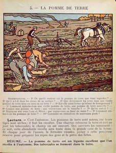 Page d