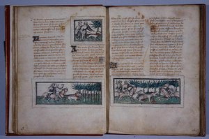 Pages 57 et 58, du Livre du Roy Modus et de la Reine Racio, par Henri de Ferrières, c.1420 - French School