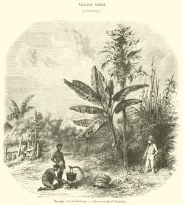 Paysage à la Guadeloupe - French School