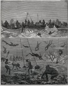 Pêcheurs de perles à Ceylan (Sri Lanka actuel) au XIXe siècle. Gravure de 1885 dans « Les arts et métiers illustrés » par Adolphe Bitard. - French School