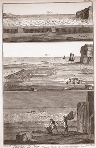Pêche de mer - Trameau - Pêche aux oiseaux aquatiques - « La Grande Encyclopédie, ou Dictionnaire Raisonné des Sciences, des Arts et des Métiers » par Denis Diderot (1713-1784) et Jean d