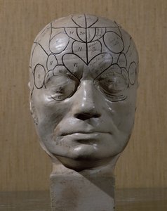 Tête phrénologique par Jean Martin Charcot - French School