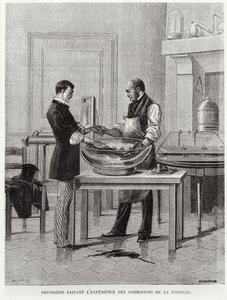 Physiciens expérimentant sur une torpille, 2e moitié du XIXe siècle - French School