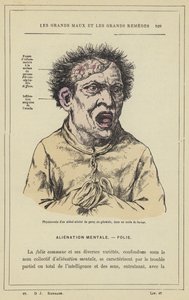 Physionomie d