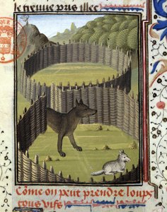Piège à loup - dans "Livre de chasse de Gaston Phoebus, Comte de Foix, Seigneur de Béarn" - French School