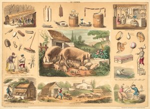 Cochon - French School