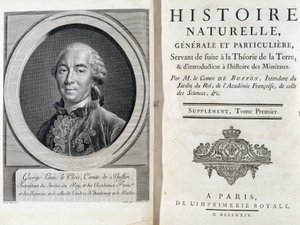 Portrait et page de titre de « Histoire naturelle, générale et particulière » de Buffon - French School