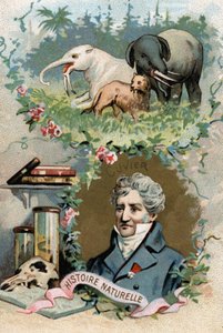 Portrait du Baron Georges Cuvier, zoologiste et paléontologue français (1769-1832), fondateur de l