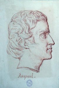 Portrait de François Vincent Raspail (1794-1878) - French School