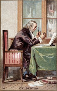 Portrait de Louis Jean Marie Daubenton (1716 - 1800), naturaliste français - French School