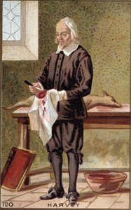 Portrait de William Harvey (1578-1657), médecin anglais - French School