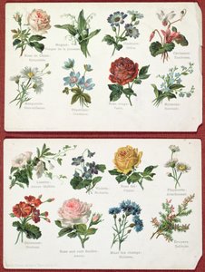 Cartes postales représentant le langage et la signification des fleurs, vers 1905 - French School