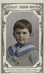 Prince Humbert, Héritier d
