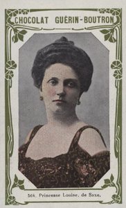 Princesse Louise de Saxe - French School
