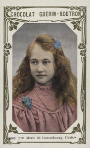 Princesse Marie de Luxembourg, Héritière - French School