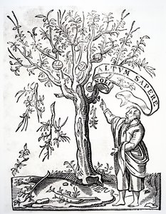 Emblème d