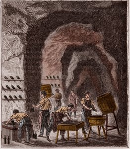 Production de champagne - Fabrication du Champagne - Gravure dans « Sciences mises à la portée de tous - physique et chimie » par Alexis Clerc - Fin 19ème siècle - Collection privée - French School
