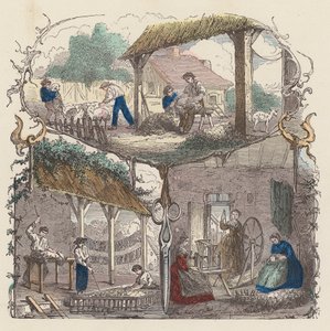 Production de laine - French School