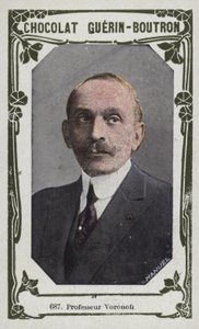 Professeur Voronoff - French School