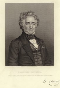 Professeur Chevreul - French School