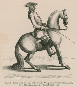 Arrêter un cheval au filet (du Manege moderne dans sa perfection, par le baron d