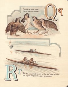 Q A : Caille, quatuor, rat, course
