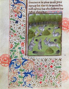 Garenne de lapins, du Livre de la Chasse par Gaston Phébus de Foix