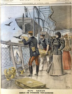 Libération des pigeons voyageurs de l