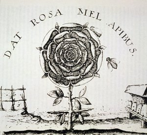 Allégorie rosicrucienne, copie d