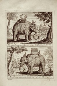 Éléphants royaux, de Voyage du Siam des Pères Jésuites par Guy Tachard, 1688 - French School