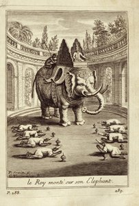 Éléphants royaux, de Voyage du Siam des Pères Jésuites par Guy Tachard, 1688 - French School