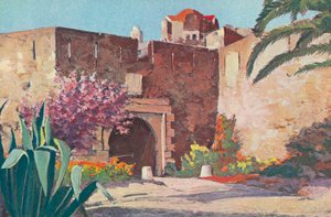 Saint-Tropez : La citadelle - French School