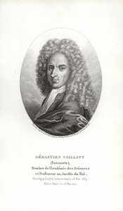 Sébastien Vaillant - French School